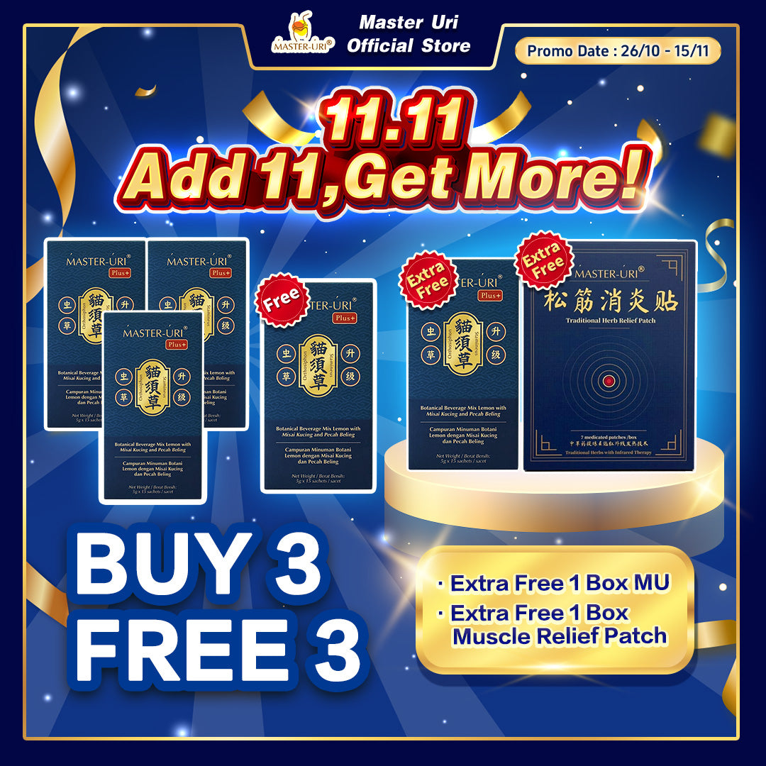 11.11 Mega Sale